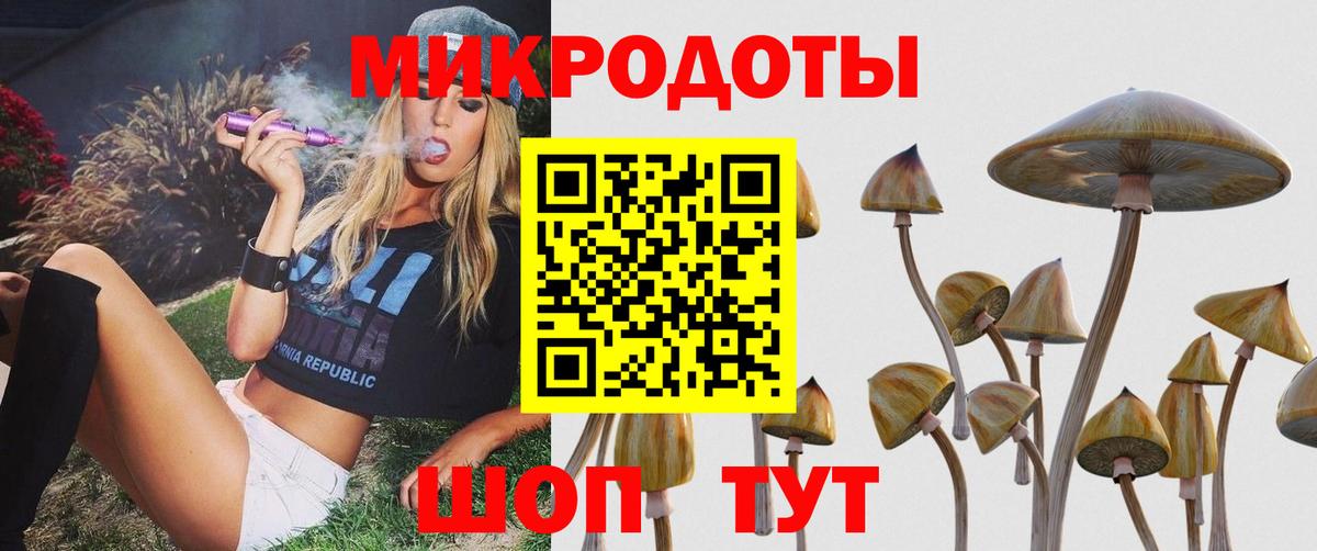 Десногорск  Галлюциногенные грибы Psilocybe  Вход с VPN 