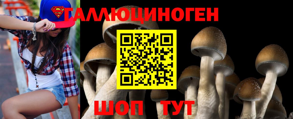 Псилоцибиновые грибы Magic Shrooms Десногорск